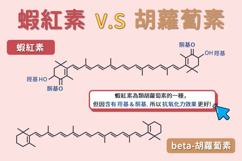 蝦紅素&胡蘿蔔素差別