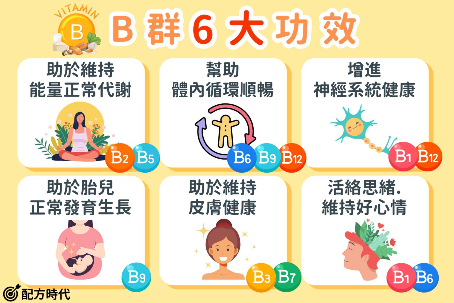 營養師揭密|6大B群功效&吃法介紹,這2類人食用前要注意! - 配方時代