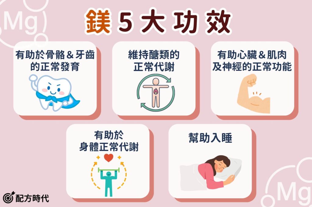 鎂在體內的作用機制