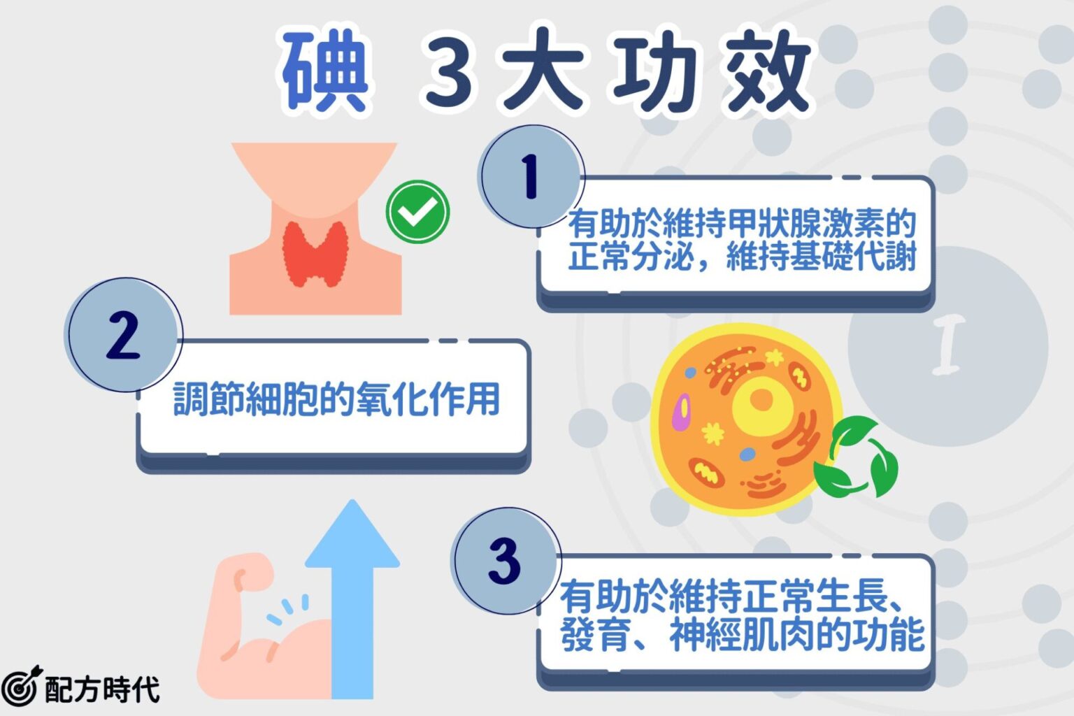 碘是什麼?3大碘功效介紹,碘攝取不足或過量各自會怎樣? - 配方時代